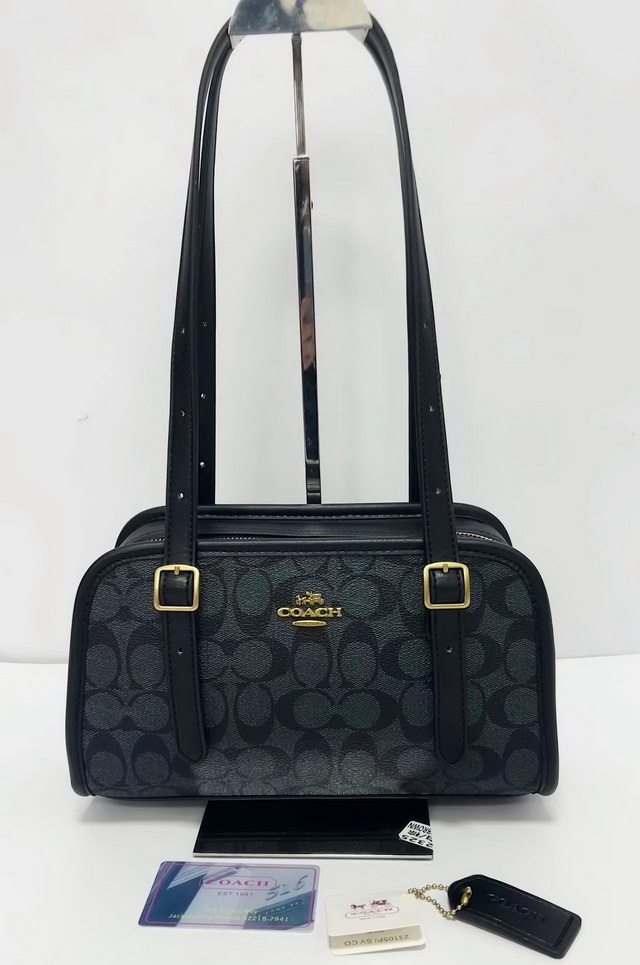 C0ACH Handbags 126